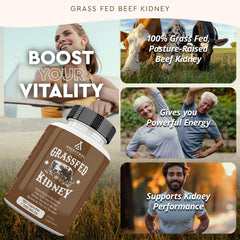 Ancestral Supplements grass-fed beef kidney ingredients close-up showing whole-food kidney nourishment.