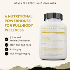 Ancestral Supplements Living Collagen capsule scoop suggests easy mixing into smoothies for daily use.