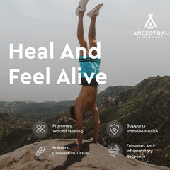 Ancestral Supplements non-GMO verified capsules for whole-food nourishment.