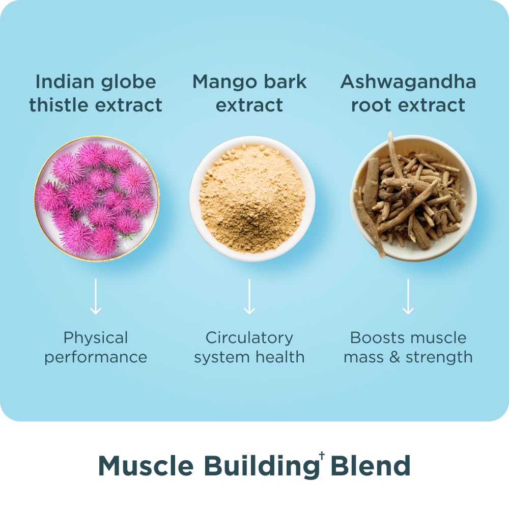 Ancient Nutrition back panel with serving size and directions.