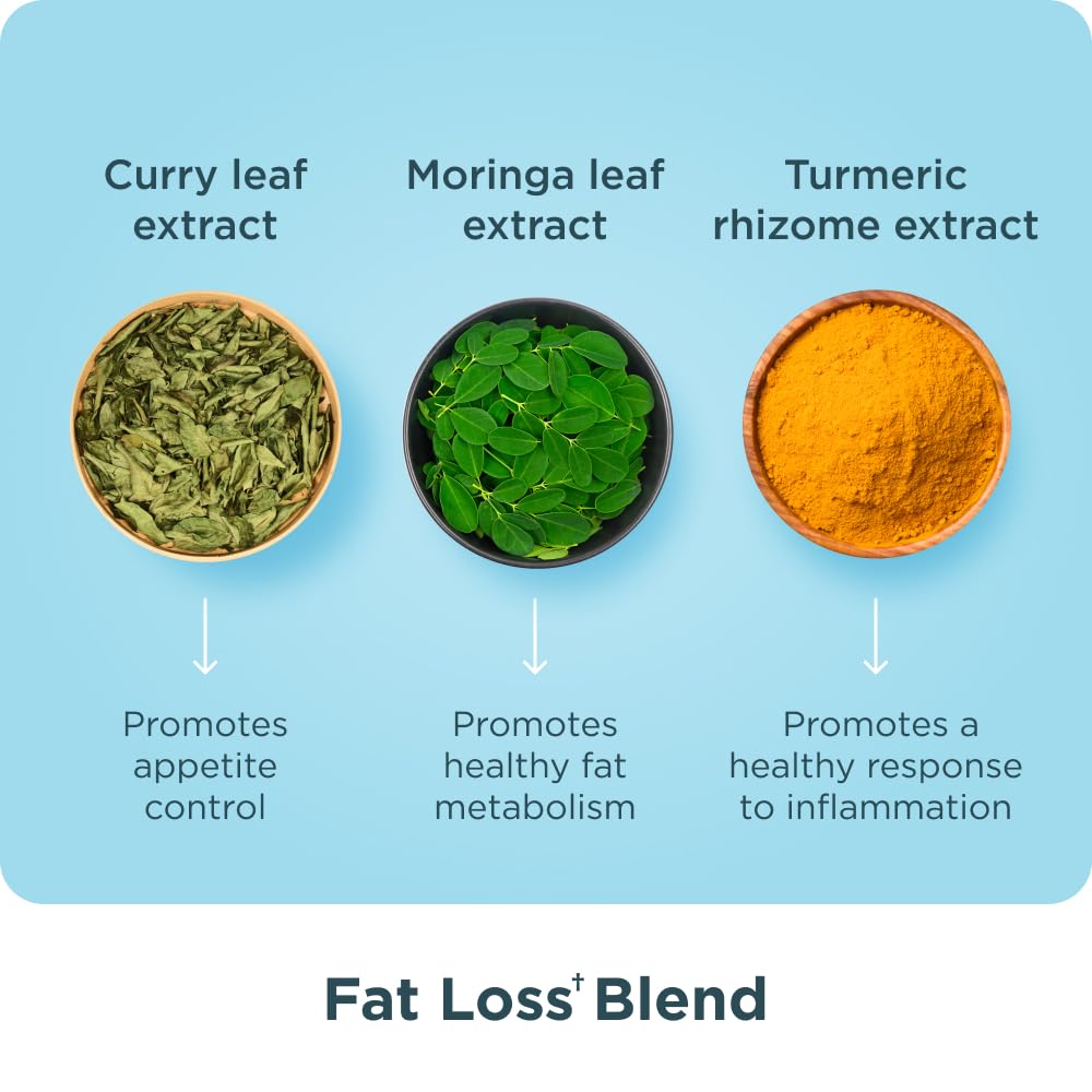 Illustration of moringa leaf, curry leaf, and turmeric rhizome