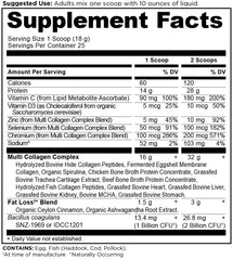 Ancient Nutrition wellness shaker illustrating convenient mixing.