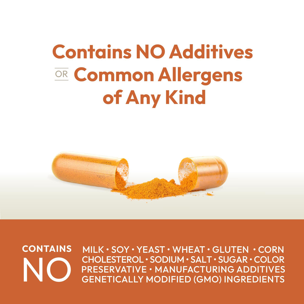 ANDREW LESSMAN Turmeric 400mg supports joint comfort and digestive wellness in daily use.