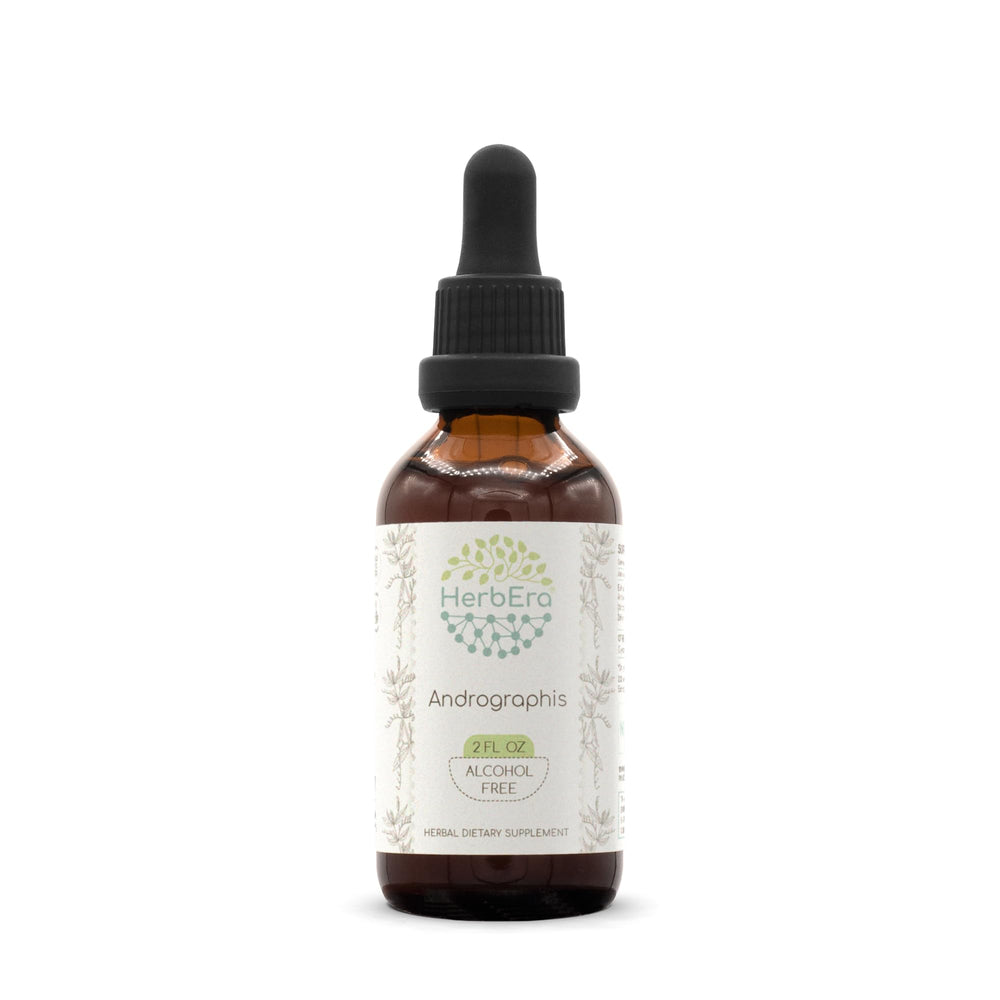 Andrographis B60 Alcohol-Free Tincture bottle 2 oz