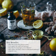 Front label of Anima Mundi Cold's & Flu Tonic