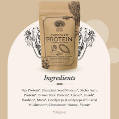 Close-up of the Qi Energy & Protein Powder in a scoop