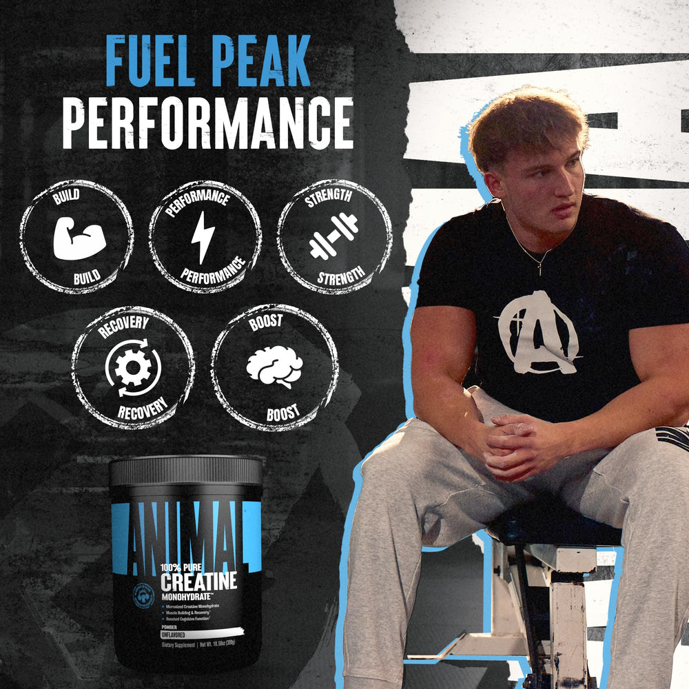 Micronized creatine monohydrate powder texture