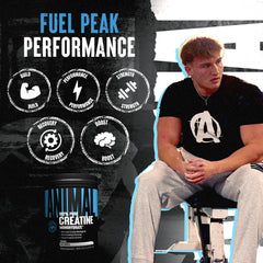 Animal Creatine powder in a shaker ready to mix pre-workout