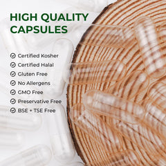 DIY filling kit for vegetarian supplements
