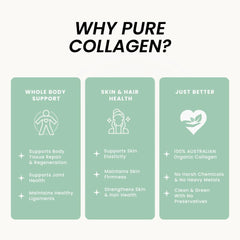 Antioxidant-rich nutrition concept