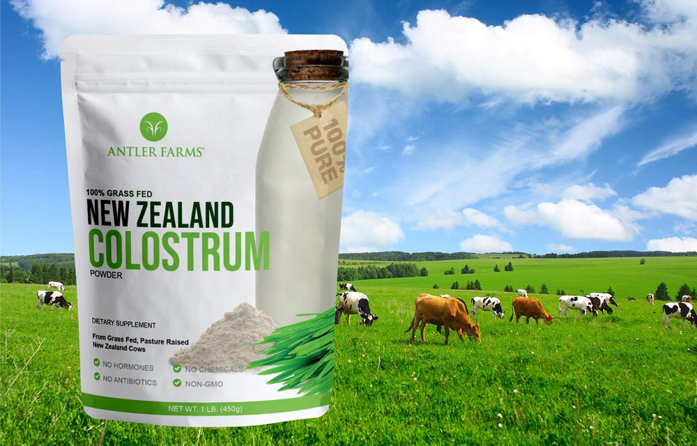 Clean sourced NZ colostrum with no hormones or antibiotics