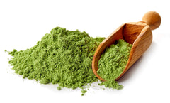 Serving scoop of wheatgrass powder showing 40 servings