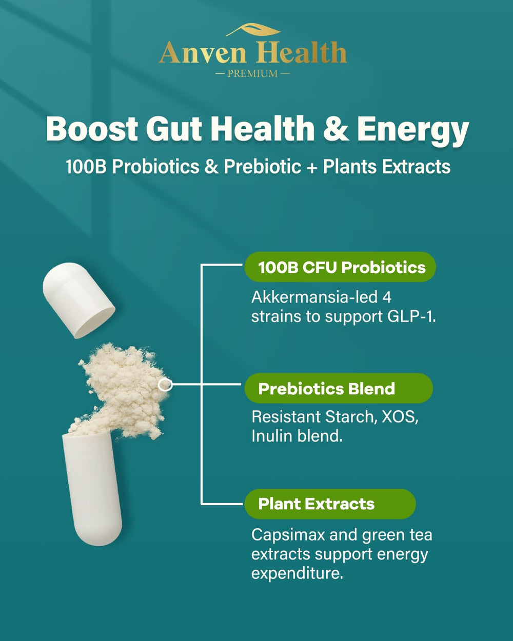 Concept image of energy metabolism and GLP-1 support