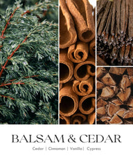 Balsam cedar scent notes illustration on packaging