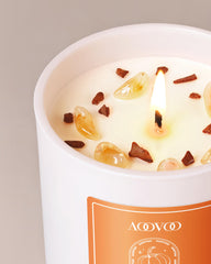 Citrine Crystal Inside Pumpkin Candle with Cinnamon Crumbs