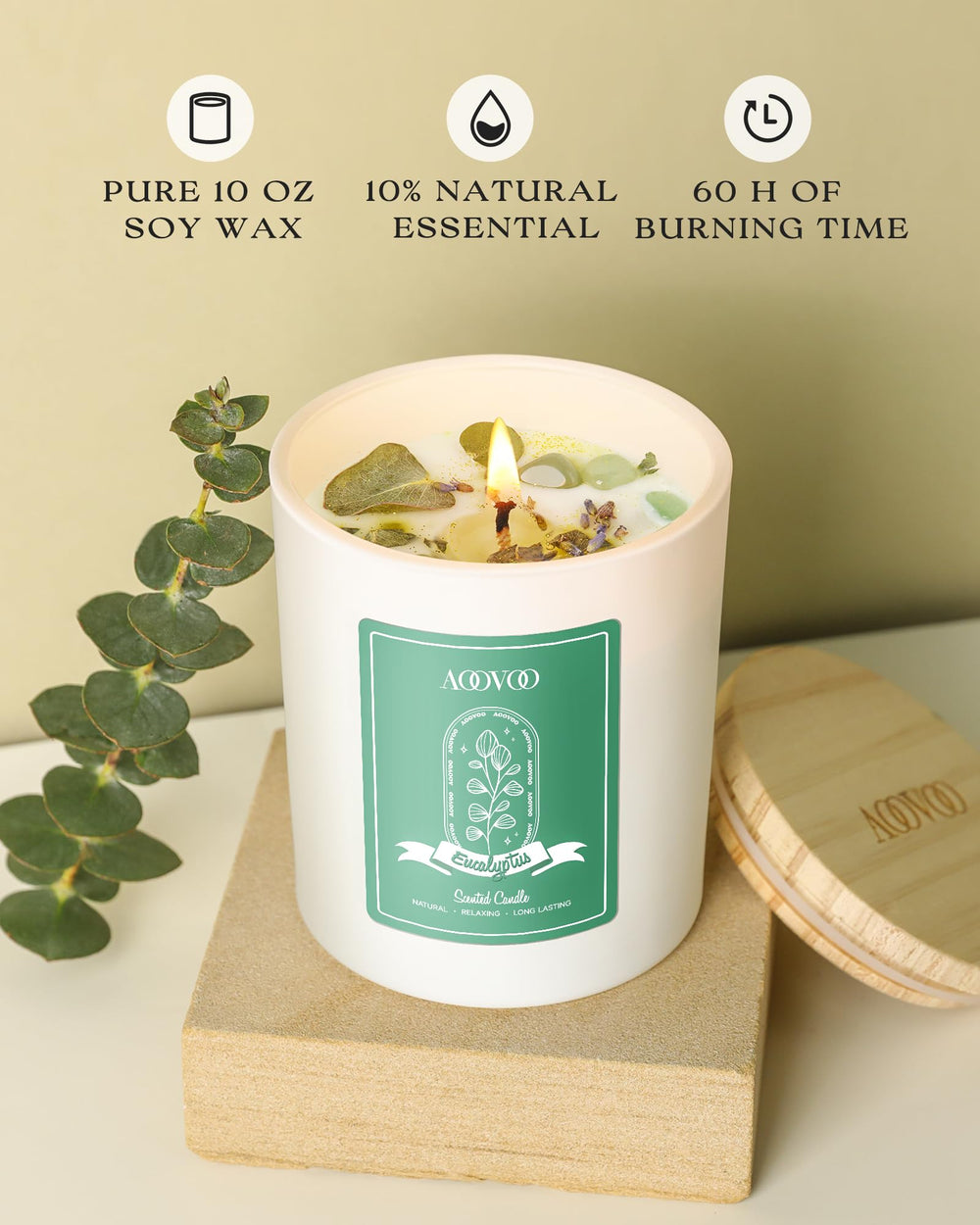 Close-up of eucalyptus mint fragrance notes