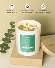 Close-up of eucalyptus mint fragrance notes