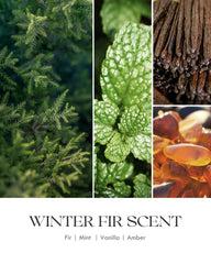 Gift-ready AOOVOO Fir Scented Candle packaging