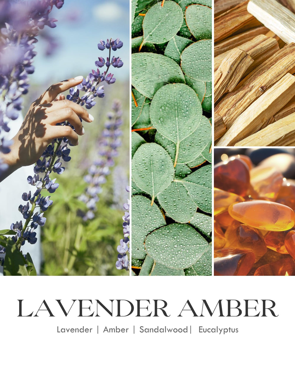 AOOVOO Lavender Amber candle packaging with gold lettering