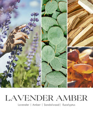 AOOVOO Lavender Amber candle packaging with gold lettering