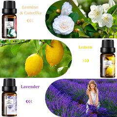 ap airpleasure Refresh citronella bottle dark glass ideal for fresh indoor scent