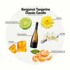Close-up of Bergamot Tangerine notes with vanilla, amber and champagne