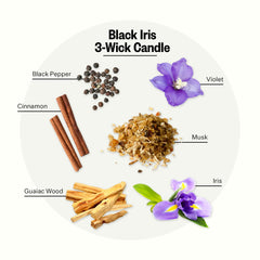 Close-up of Black Iris Oak fragrance notes with pepper, cinnamon, iris and musk