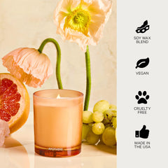 Packaging: Apotheke Sea Salt Grapefruit candle box