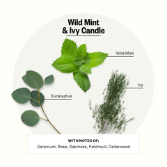 Close-up of wick and jar