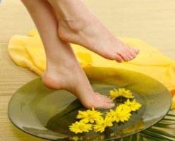 Dropper with Arnica Montana essential oil droplets