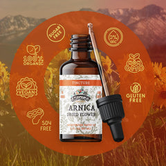 Dropper dispensing Arnica tincture into a glass bottle
