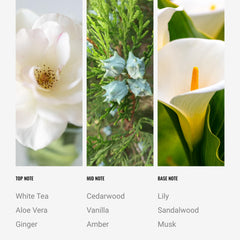 Aroma360 Dream On Deluxe candle cedar notes close-up for spa ambience