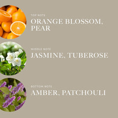 Hotel Collection diffuser oil with Pear, Jasmine and Patchouli