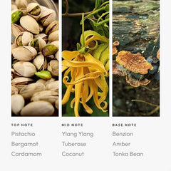 Aroma360 Libra Pro-Pod luxury-hotel-inspired setup elevates bedroom ambiance.