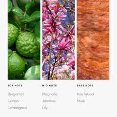 Aroma360 long-lasting aroma diffuser in operation, delivering sustained fragrance throughout the day.