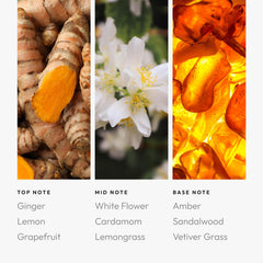 Aroma360 Pro Pod Aquarius Diffuser Bottle image showing easy refill and elegant design