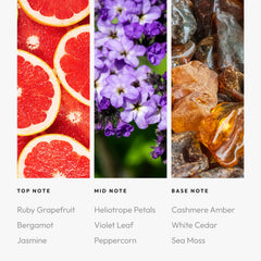 Aroma360 Red packaging box showcasing luxury presentation and easy gifting