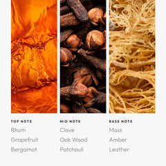 Aroma360 Sagittarius Pro-Pod diffuser in living room evokes hotel ambience.