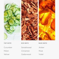 Summer Breeze fragrance oil bottle with packaging and cap