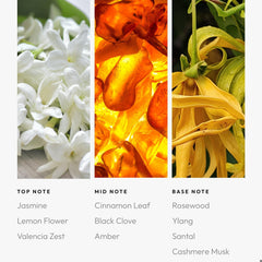 Base notes of Rosewood, Ylang-Ylang, Santal, and Cashmere Musk in Aroma360 Sweet Caroline