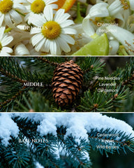 Close-up of Aromadd diffuser oil label showing pine and cedarwood notes