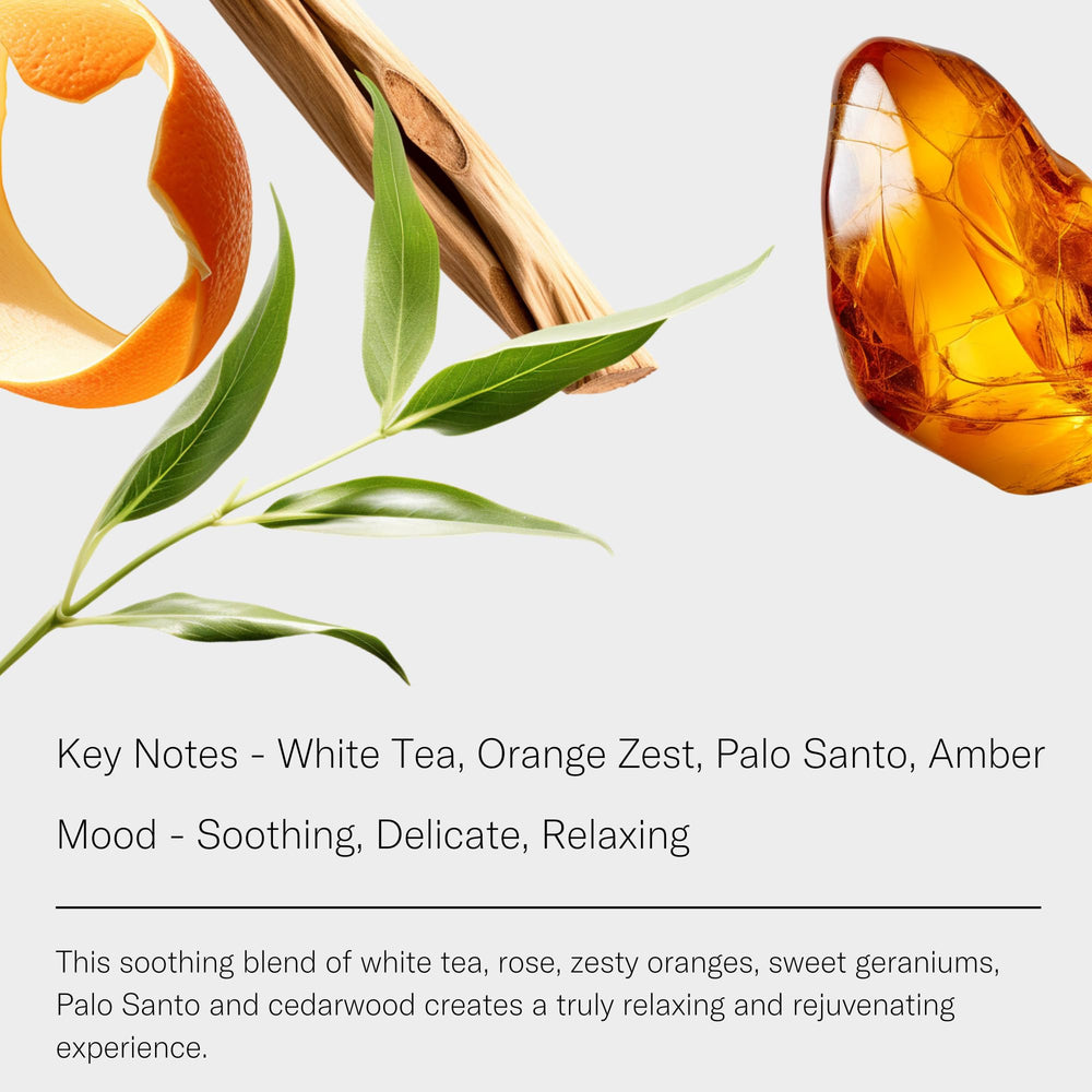 Fragrance notes: White Tea, Rose, Orange, Palo Santo