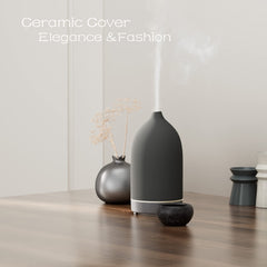 Grey stone diffuser with 9-color ambient lighting
