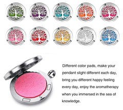 Diffuser necklace with removable felt refill pads and chain