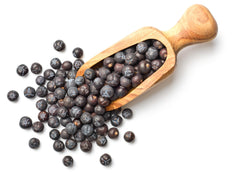 Juniper Berry Essential Oil drops into a dropper