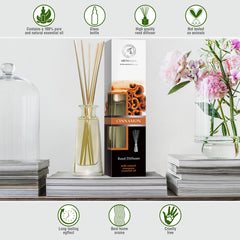 AROMATIKA cinnamon reed diffuser set with two 100 ml bottles for long lasting fragrance
