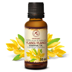 AROMATIKA Ylang Ylang oil diffuser in a calm space for relaxation.