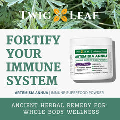 Immunity and wellness benefits illustration