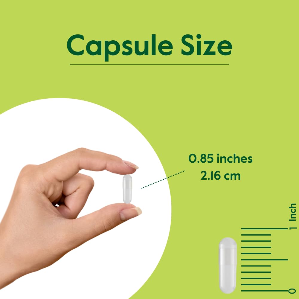 Graphic showing vegan Artemisinin capsules