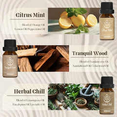 Citrus Mint diffuser oil bottle